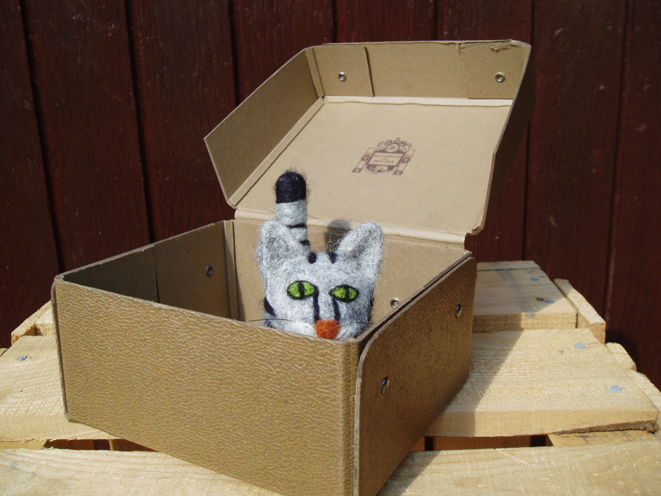 Filtkat