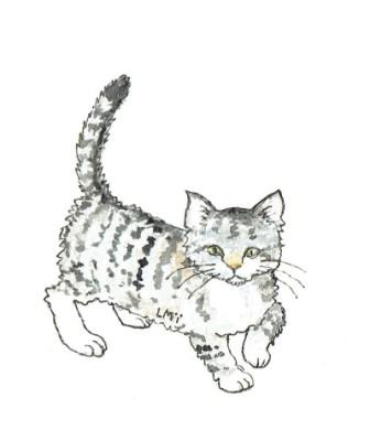 Filtkat