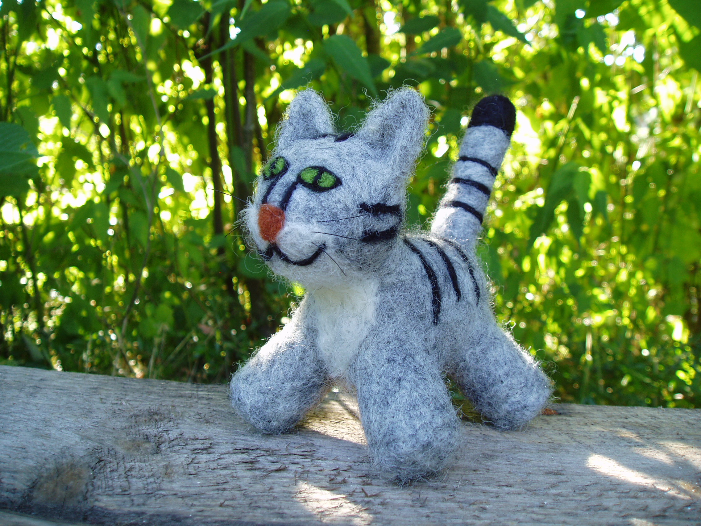 Filtkat